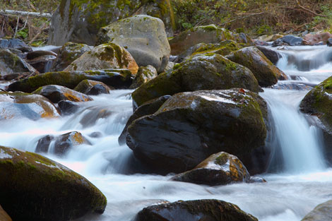 gilfenklamm.jpg