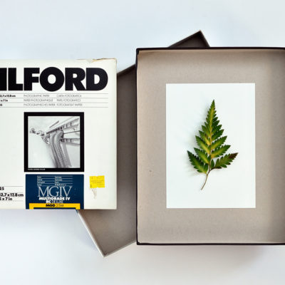 materials-large Esperimento con carta fotografica - anche per bambini