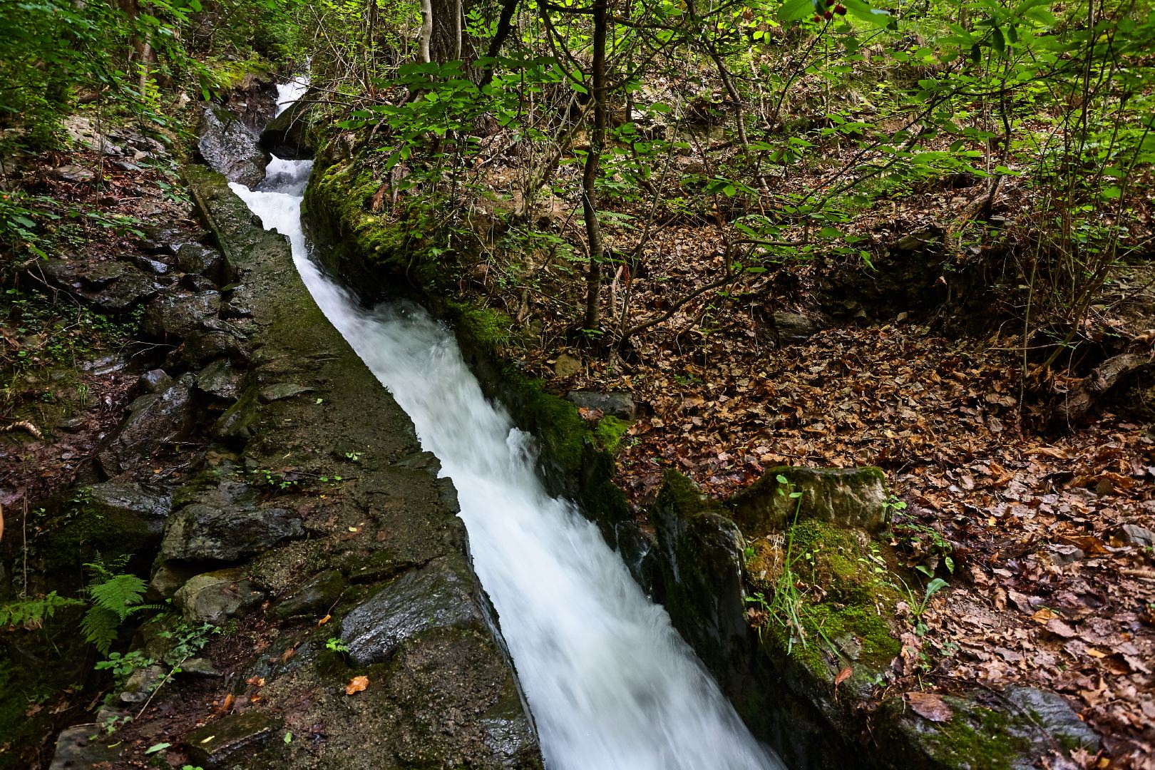 Nuove foto: Waalweg Ciardes