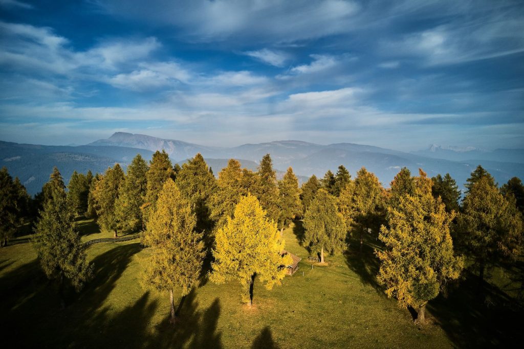 Nuovo foto album: Altopiano del Salto autunno 2017