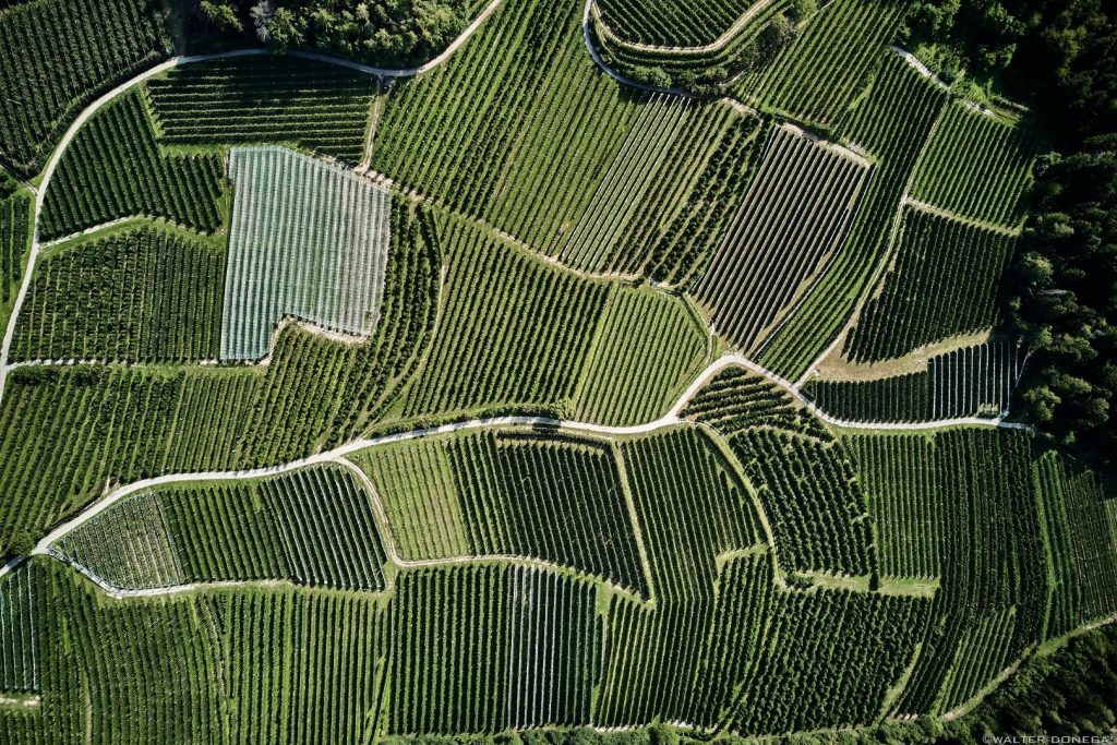 Nuovo foto album e video: 50 sfumature di verde in alta valle di Non