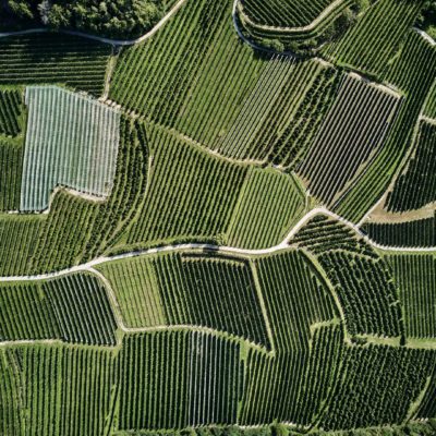 Nuovo foto album e video: 50 sfumature di verde in alta valle di Non