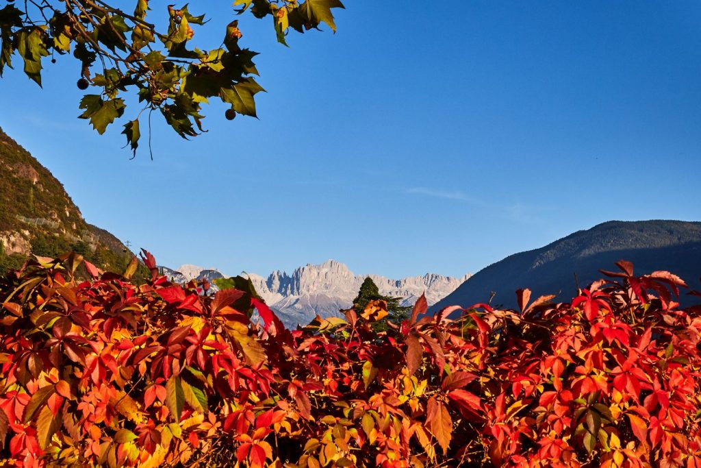 Nuovo foto album: Tramonto autunnale a Bolzano