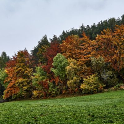 Nuovo foto album: la passeggiata Freud tra Soprabolzano e Collalbo sul Renon.