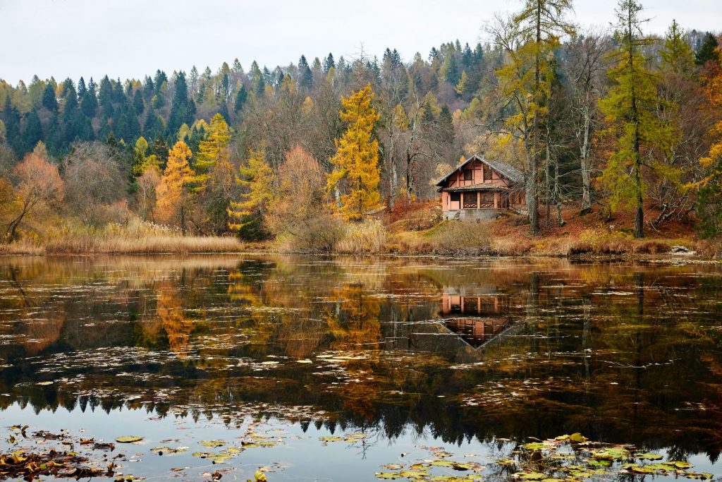 Nuovo album foto: Autunno al lago di Cei ed escursione alla Malga Cimana, Cimana di Pomarolo e Dos Pagano.