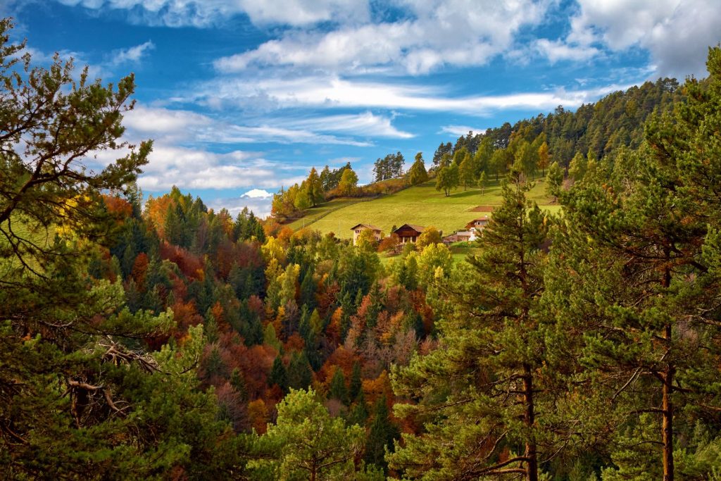 Nuovo album foto: passeggiata sull'altopiano del Salto in autunno